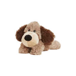 Chocolate the Dog view 1