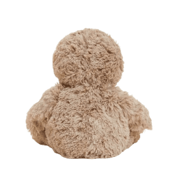 Coco the Sloth view 2